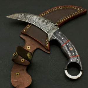 AE#1 Custom Hand Forged Damascus Steel Camping Hunting Full Tang Karambit Knife.